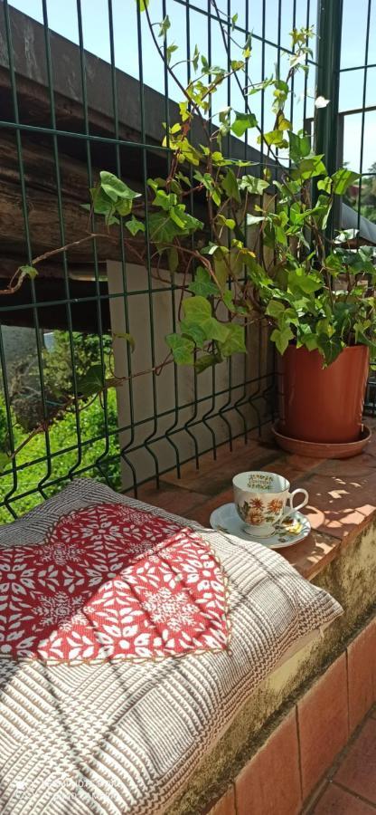 Villa Casa Ernesto-Amica Dei Ciclisti Acquasparta Esterno foto